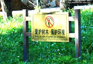 105 - Shaxi